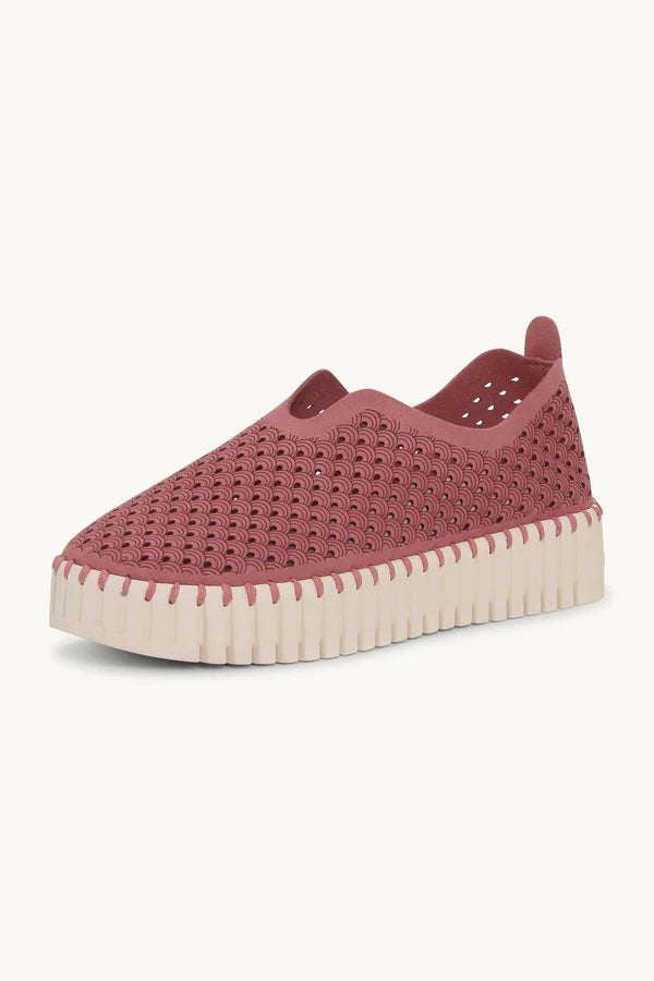 ILSE JACOBSEN TULIP PLATFORM