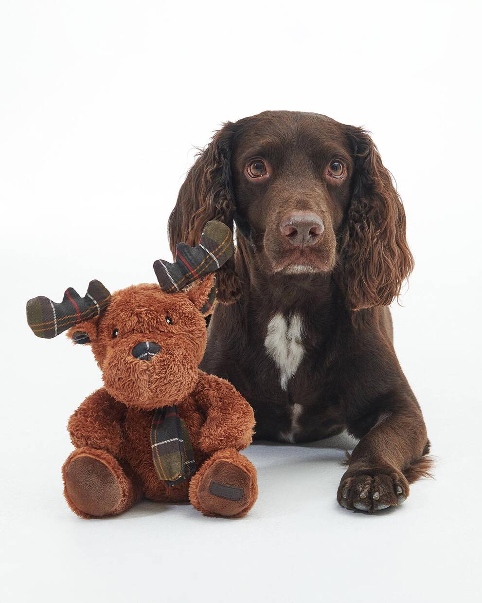 Barbour Renna giocattolo per cani