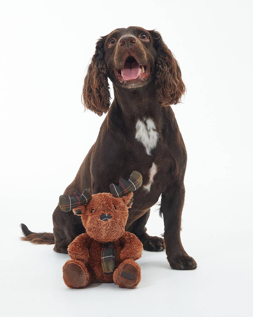 Barbour Renna giocattolo per cani