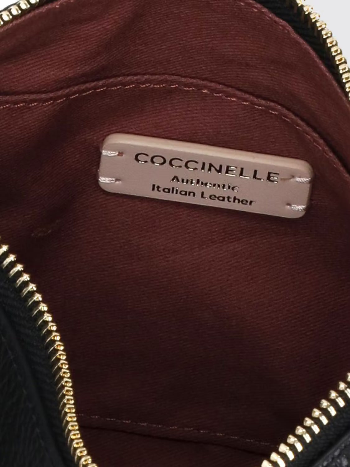 Coccinelle Fujiko