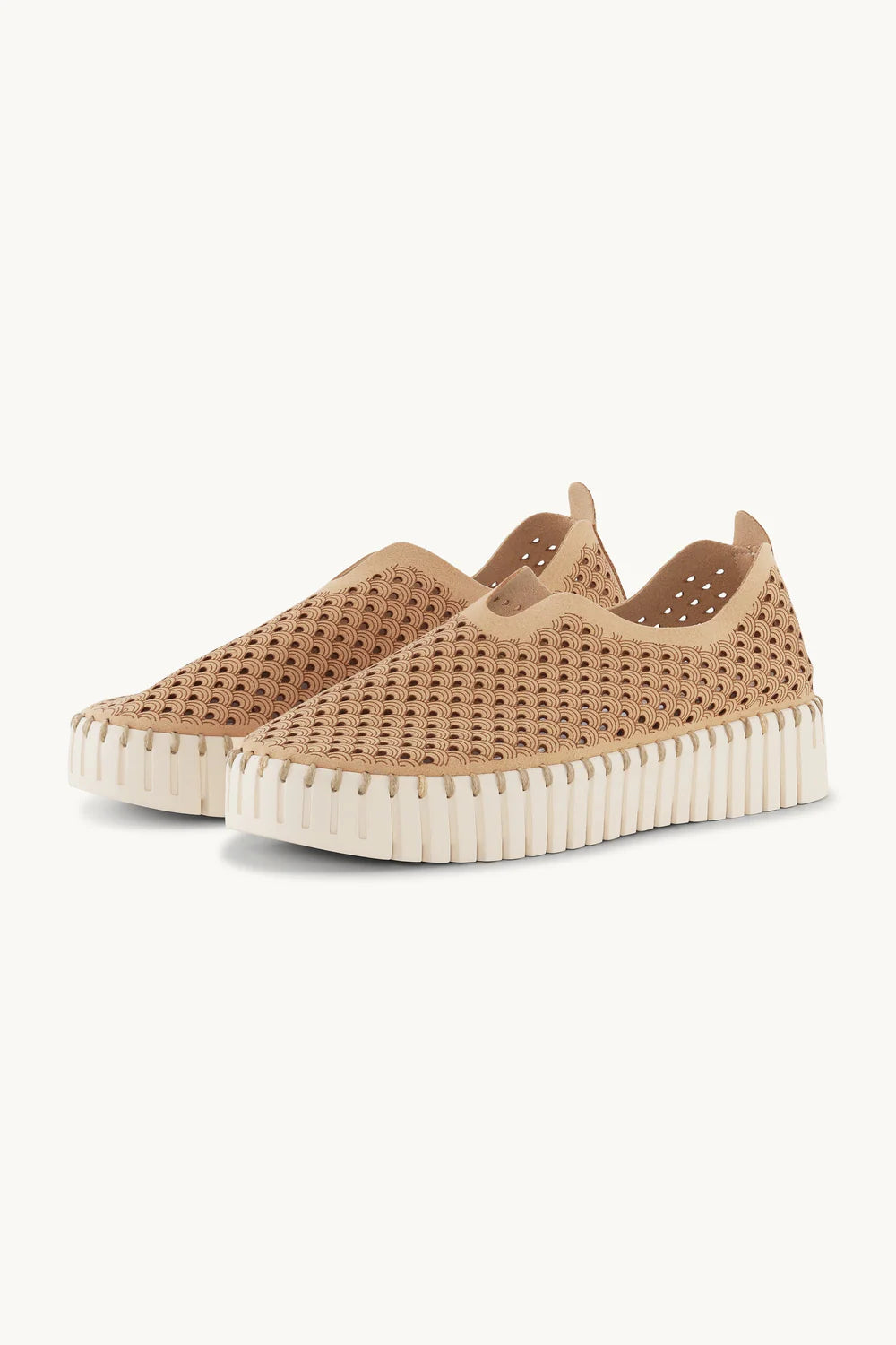 ILSE JACOBSEN TULIP PLATFORM