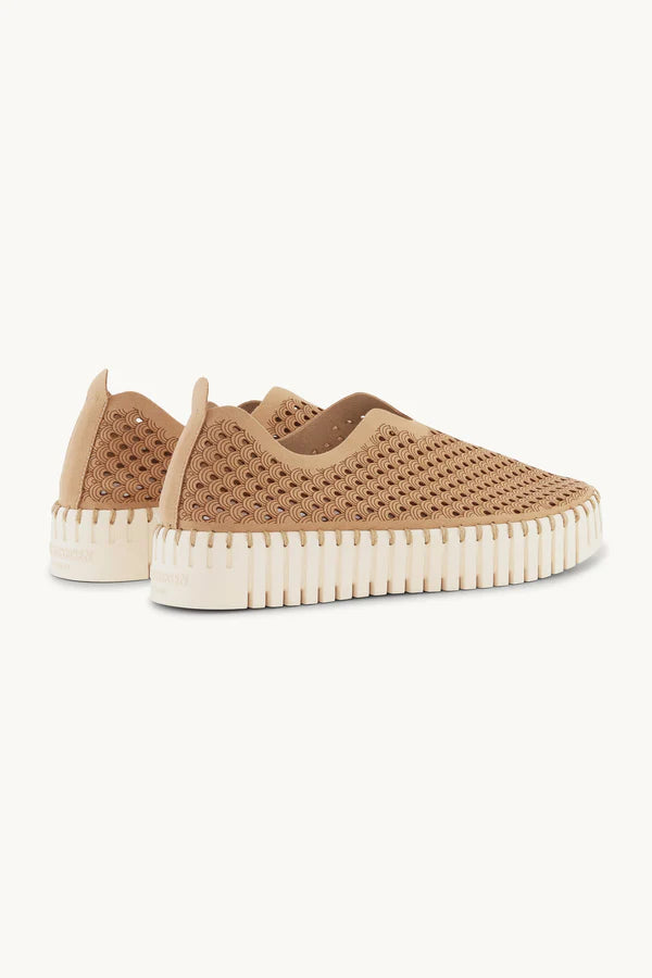 ILSE JACOBSEN TULIP PLATFORM