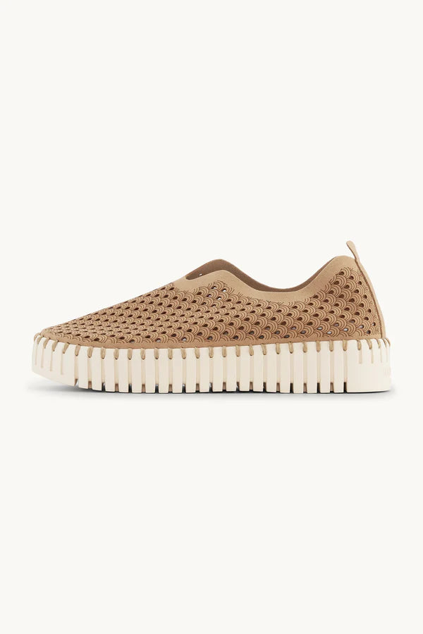ILSE JACOBSEN TULIP PLATFORM