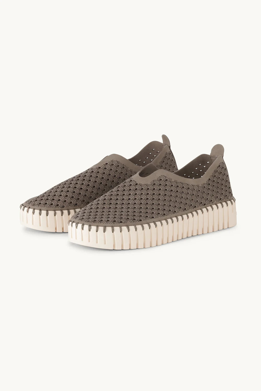 ILSE JACOBSEN TULIP PLATFORM