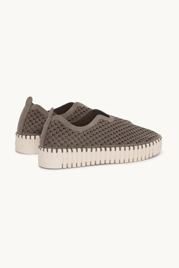 ILSE JACOBSEN TULIP PLATFORM