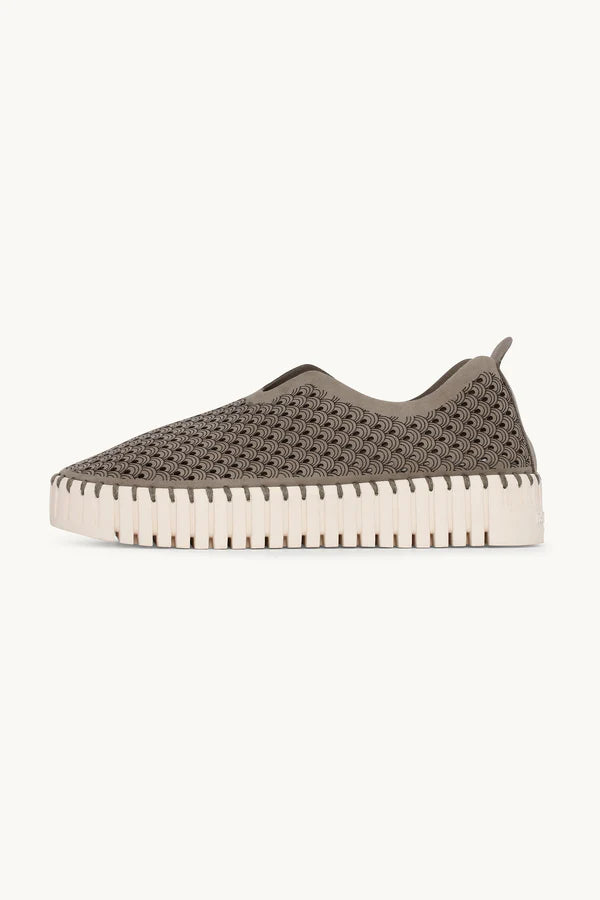 ILSE JACOBSEN TULIP PLATFORM