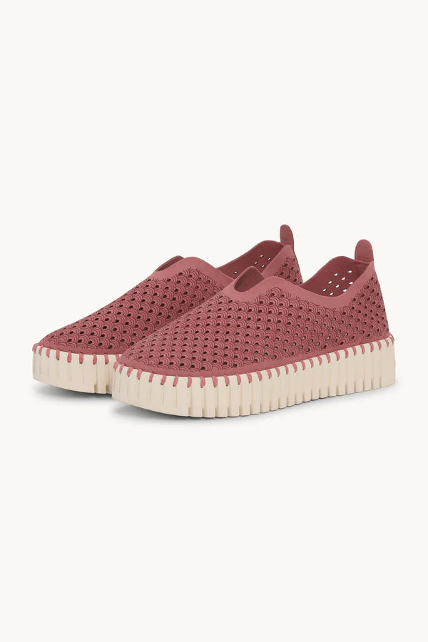 ILSE JACOBSEN TULIP PLATFORM