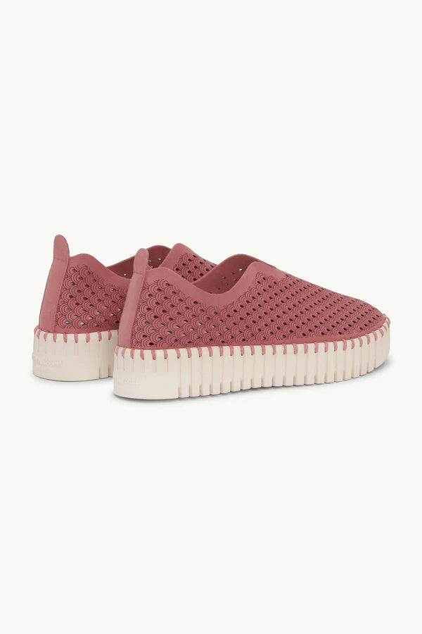 ILSE JACOBSEN TULIP PLATFORM
