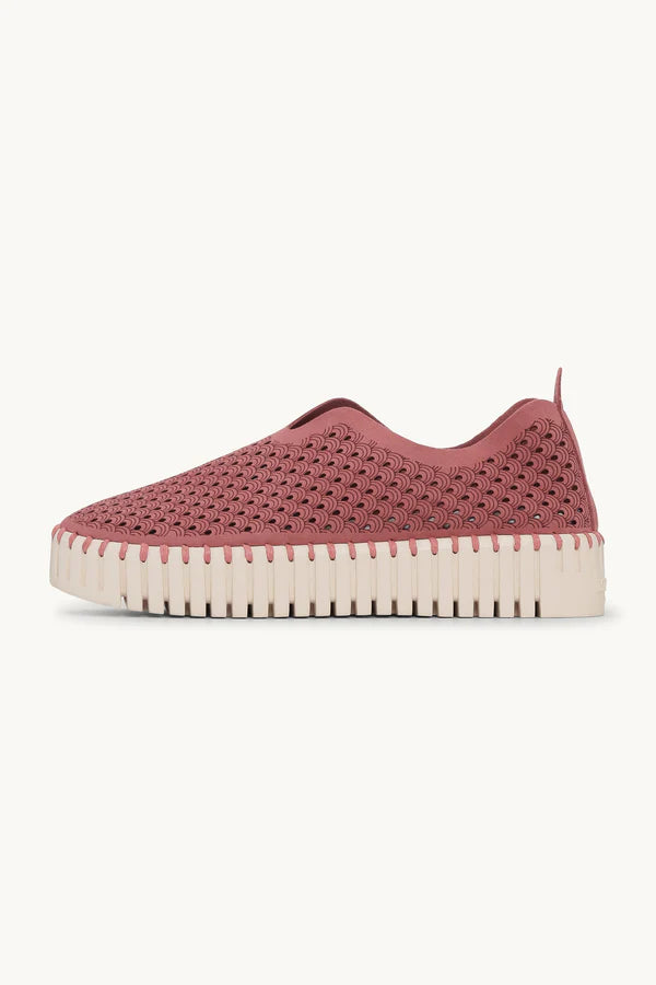 ILSE JACOBSEN TULIP PLATFORM