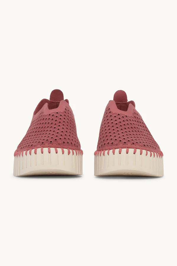 ILSE JACOBSEN TULIP PLATFORM